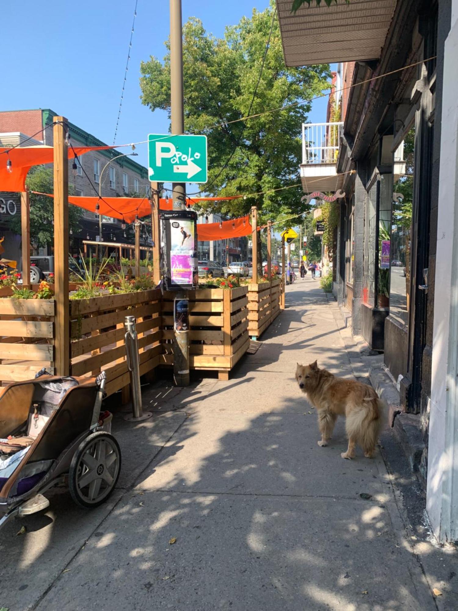 Pensione Popolo Montréal Dış mekan fotoğraf